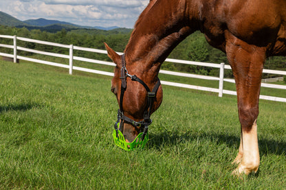 GreenGuard Grazing Muzzle