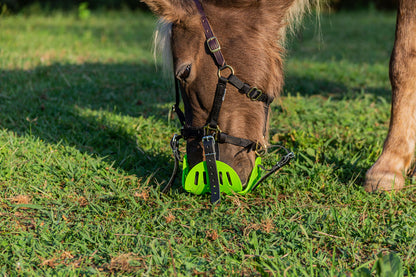 Halter - Mini/Small Pony Premium Breakaway