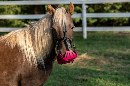 Halter - Mini/Small Pony Premium Breakaway