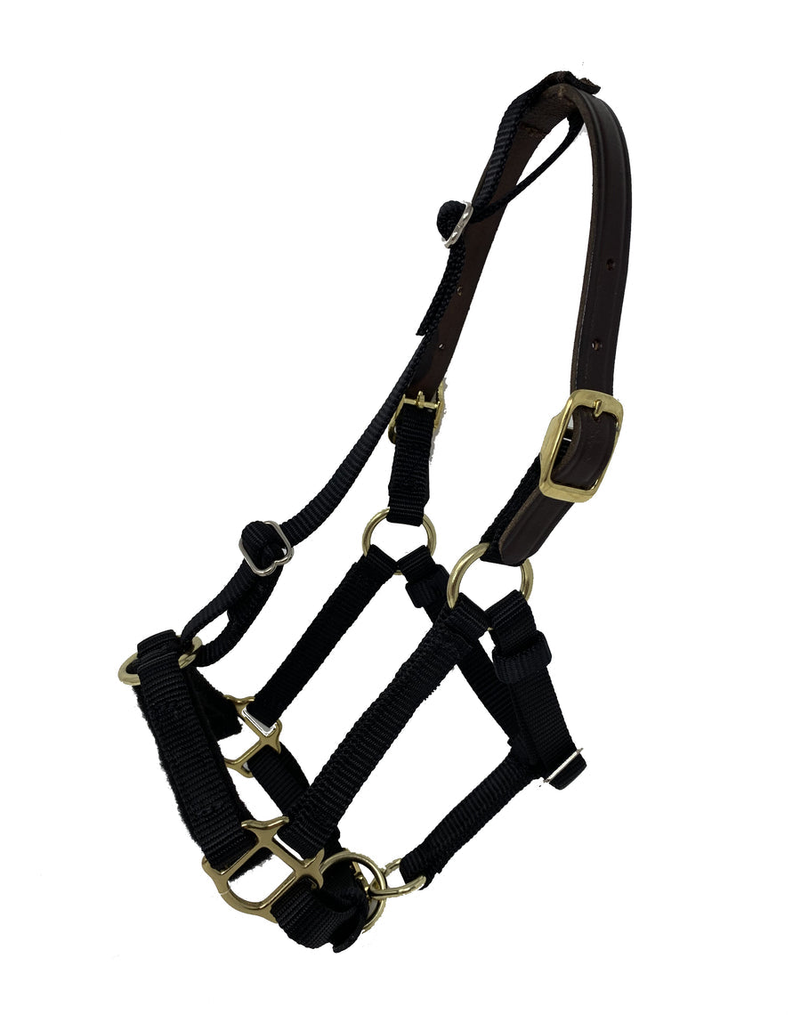 Halter - Mini/Small Pony Premium Breakaway